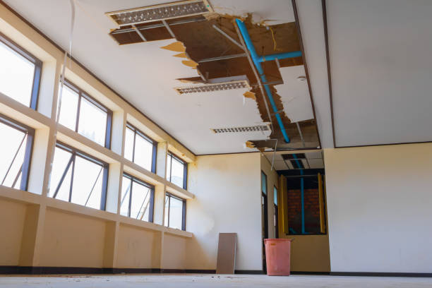 Best Local water damage restoration  in East Milton, FL