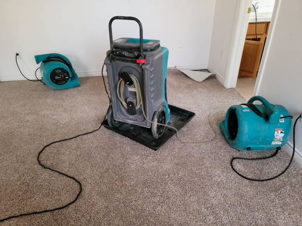 Best Water damage restoration cost  in East Milton, FL