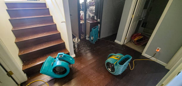 Best Carpet water damage restoration  in East Milton, FL