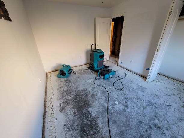 Best Water damage cleanup near me  in East Milton, FL