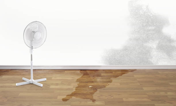 East Milton, FL Water damage restoration Company