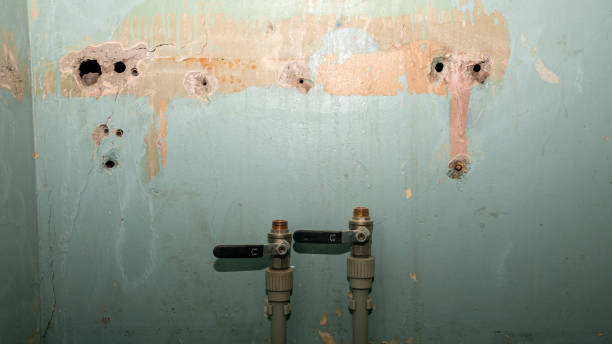 Best 24/7 water damage repair  in East Milton, FL