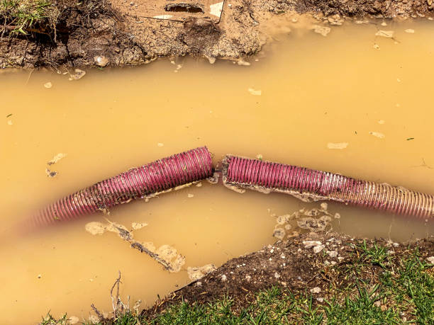 Best Local water damage restoration  in East Milton, FL