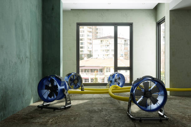 Best Flood restoration services  in East Milton, FL