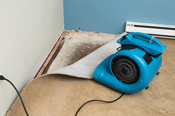 Best Water damage restoration process  in East Milton, FL